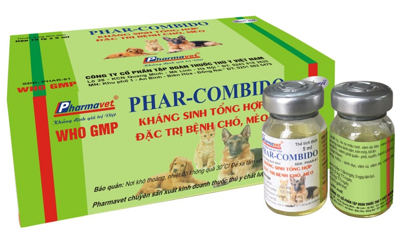 Kháng sinh tổng hợp Phar-Combido