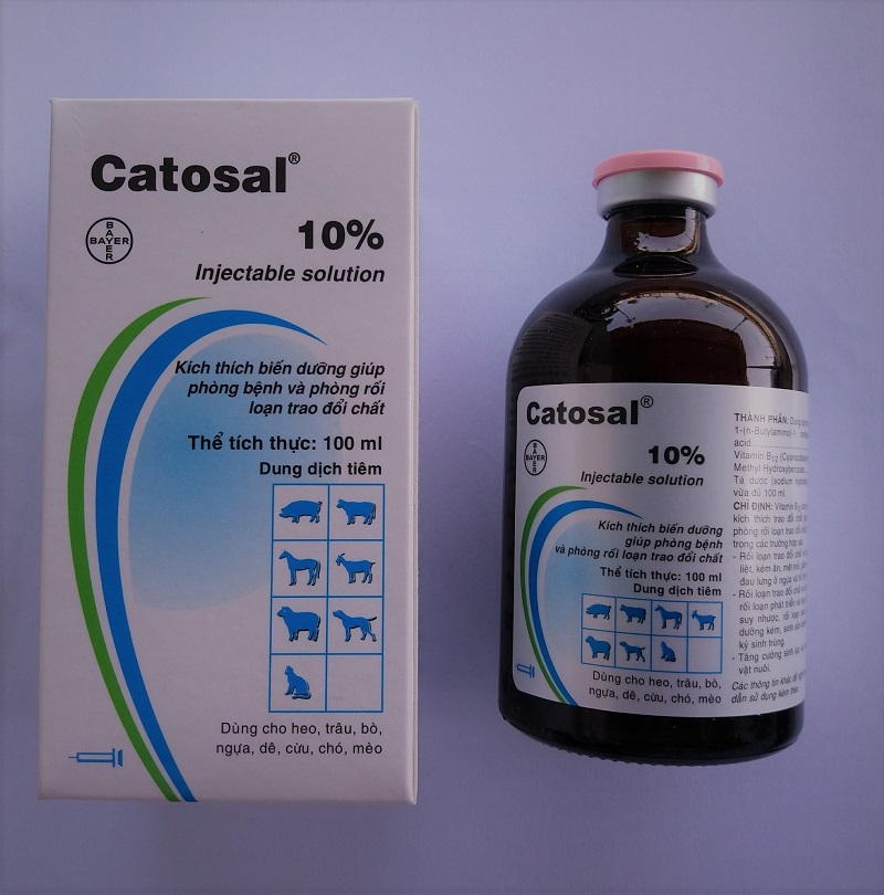 Thuốc tiêm dinh dưỡng Catosal 10%